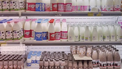 افزایش محصولات لبنی قابل پیش‌بینی بود